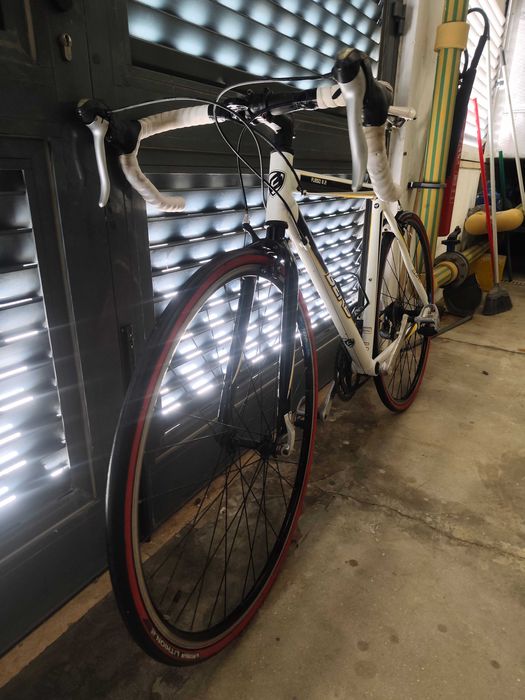 Berg Fuego 8.2 Estrada