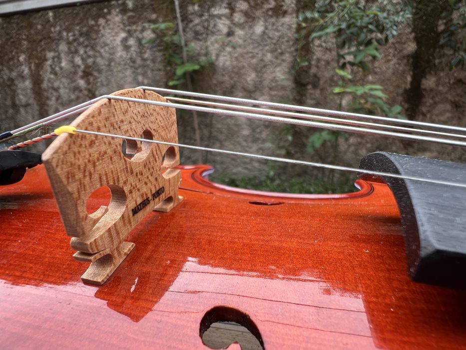 Violino 4/4 Dvorak
