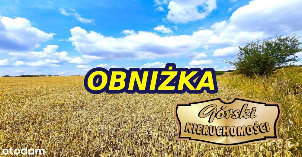 Działka, Krasnystaw