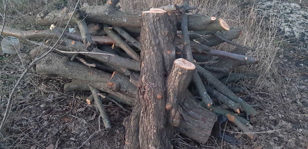 Сливові/абрикосові дрова на копчення, шашлик