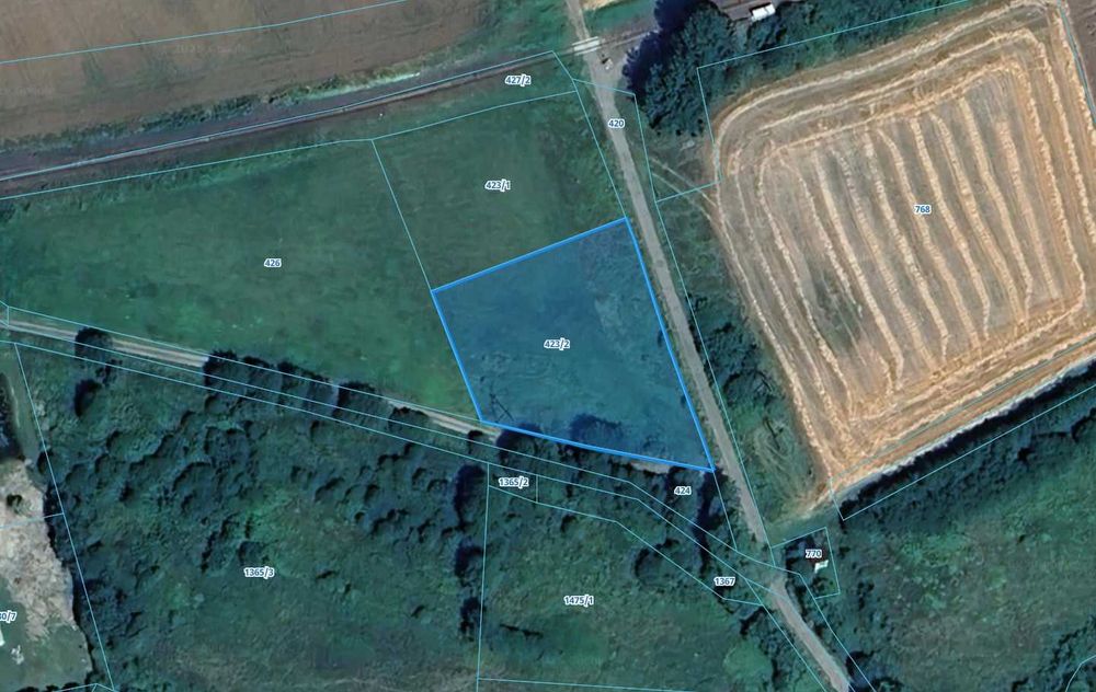 Atrakcyjna działka 1999 m² – dom + działalność w jednym miejscu - Widok 4