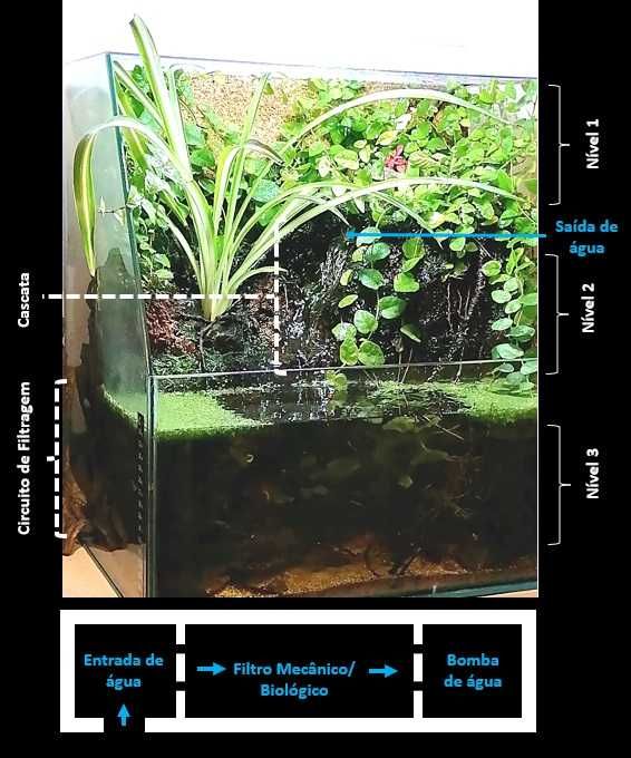 Fantástico Paludário Natural 40cm
