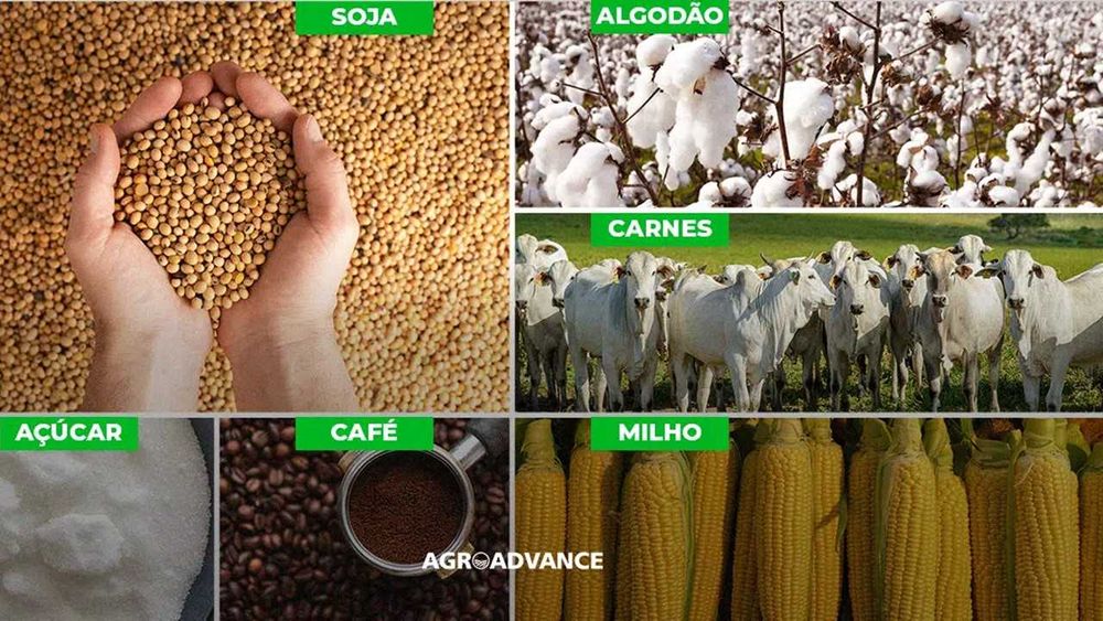 Grãos, Açúcar, milho, soja, óleo