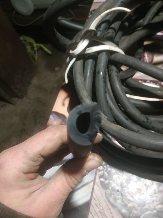 Шланг толстотелый