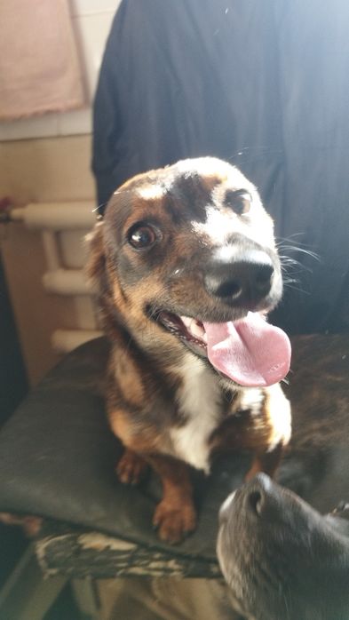 Шукає родину  дівчинка метис