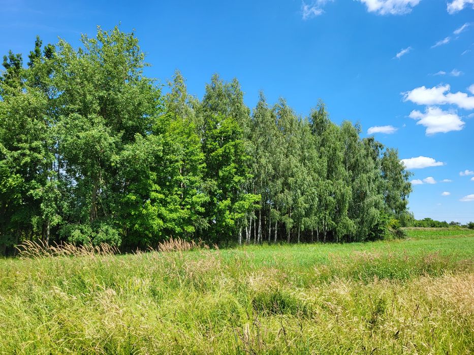 Działka na sprzedaż 8600m2