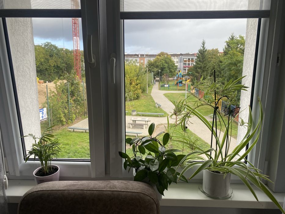 Mieszkanie – Bydgoszcz - Widok 5