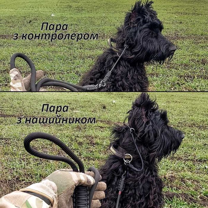 3в1! Повідок контролер для собак Ошейник удавка | Чорный Dogspotter
