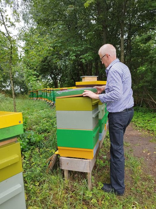 Miód z własnej pasieki