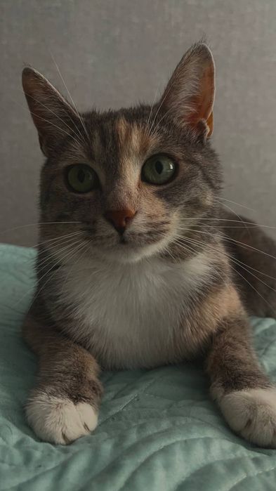 У добрі відповідальні руки - Міруся.