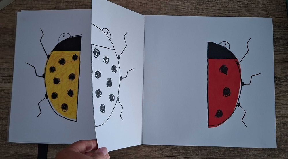 Lote 3 Livros Infantis – "A Natureza Colorida" , "A Quinta" e "As Cores" (Excelente Estado)