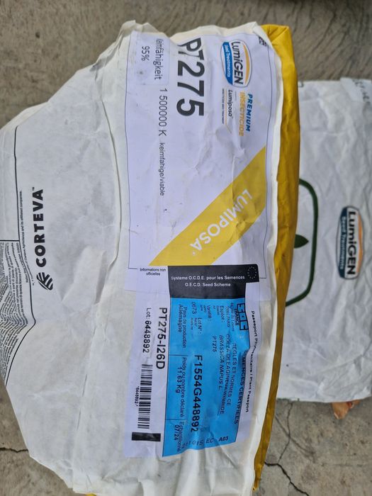 Nasiona rzepaku piooner pt275 okazja lumpiposa lumidapt