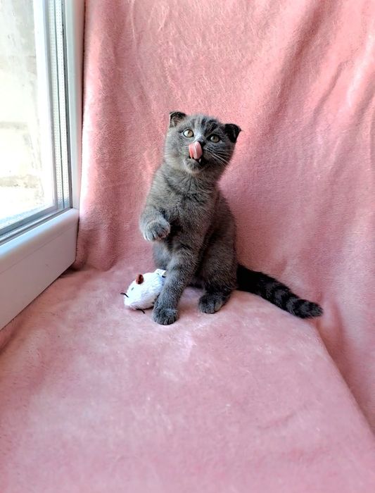 Лучший подарочек