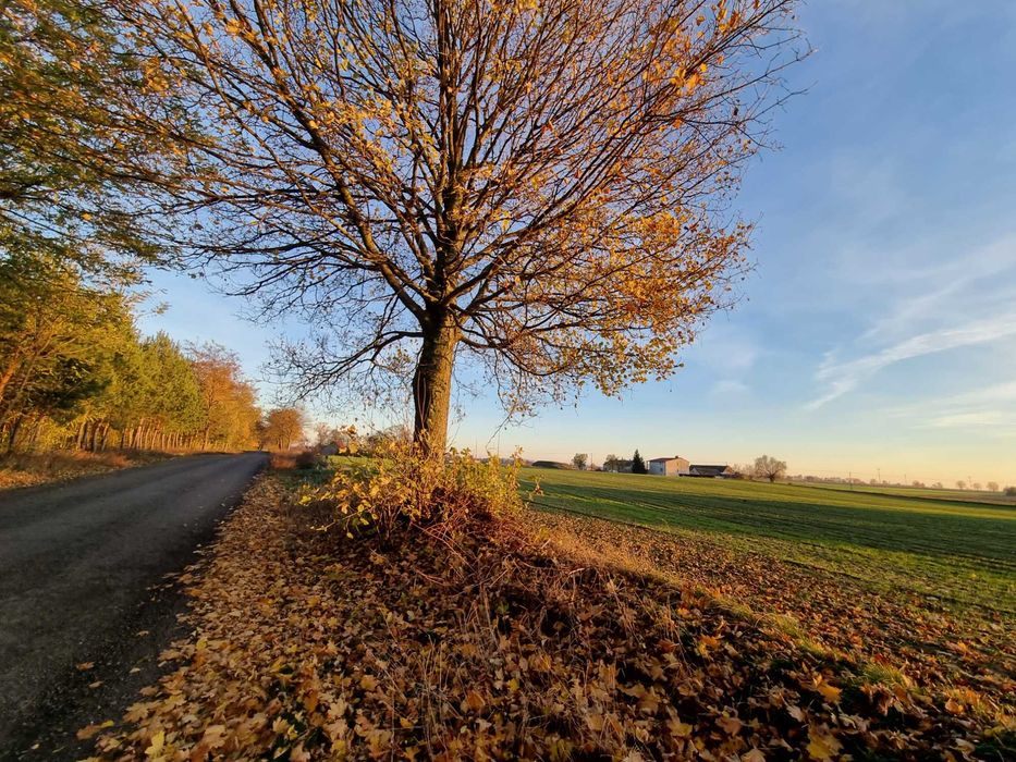 Sprzedam działki budowlane z warunkami zabudowy w Bardzie - View 3