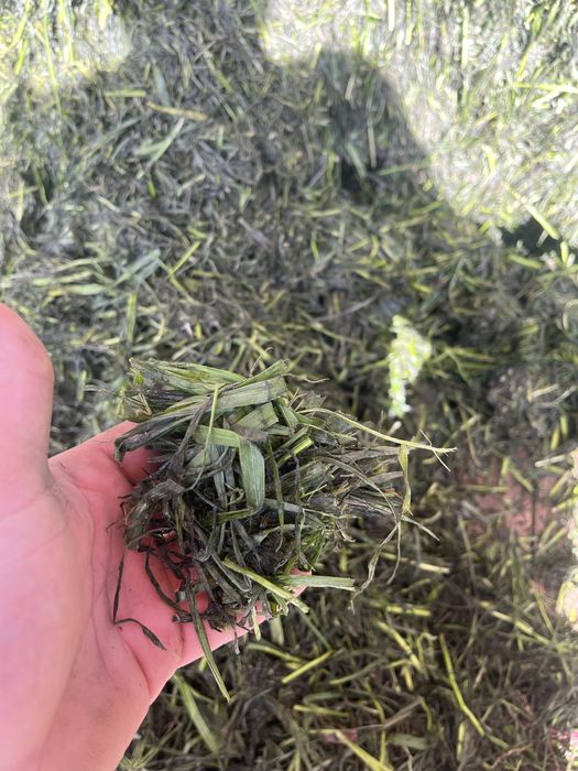 Strautmann super vitesse 1DO 12t