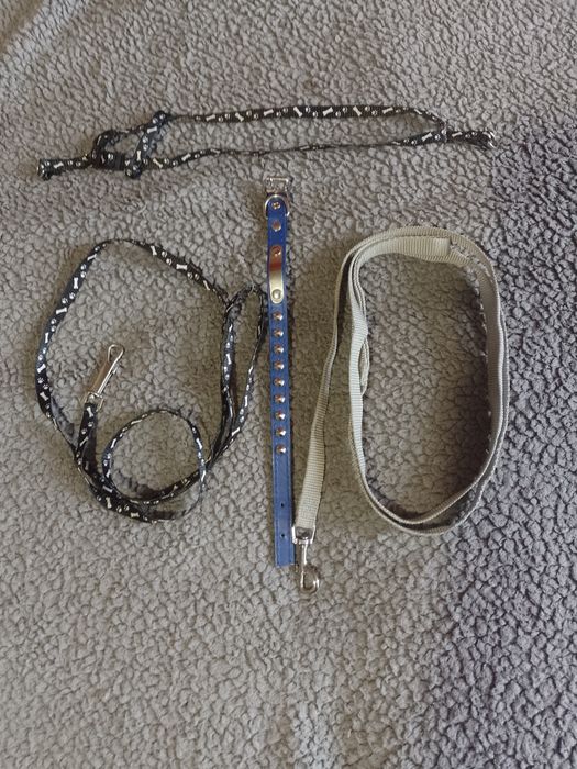 Одежа для собачки та інше