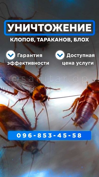 Уничтожение тараканов, клопов. Травля Знищення Тарганів  Дніпро.