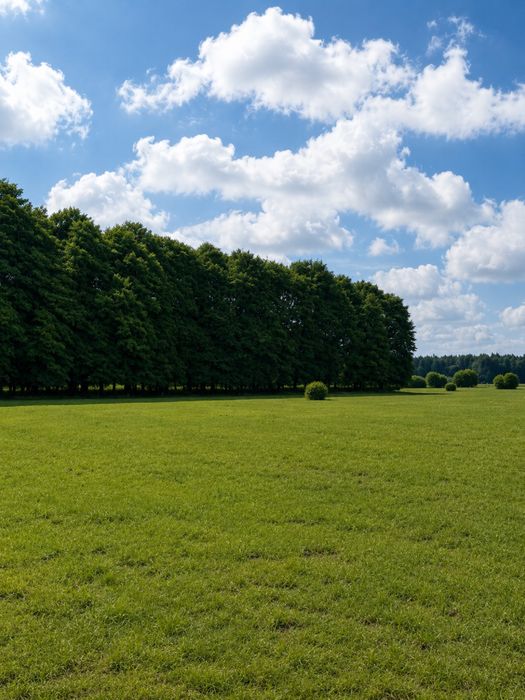 Sprzedam działki posiadają W/Z i Badania geotechniczne
