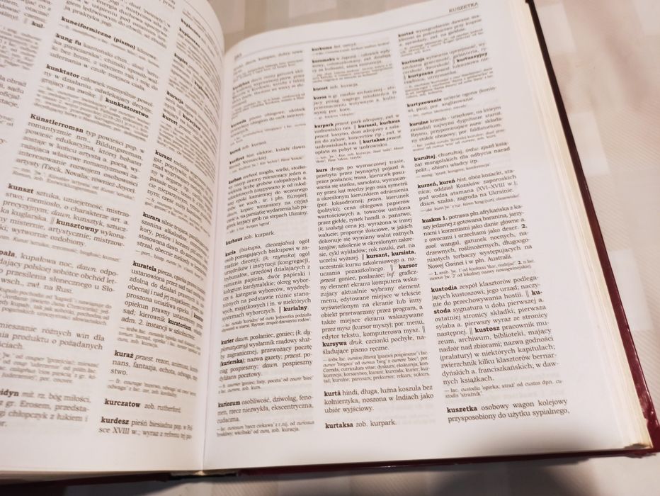Słownik wyrazów obcych i zwrotów obcojezycznych z almanachem