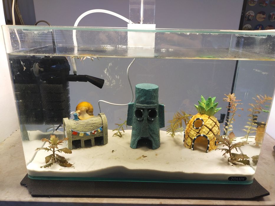 Domki do akwarium Spongebob zestaw 3