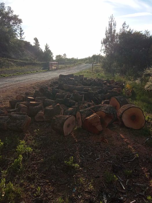 Lenha de Azinho & Outras