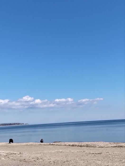 Сдвм двух этажный дом на берегу моря