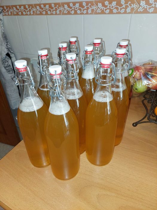 Kombucha engarrafada ou (Scoby + chá arranque)