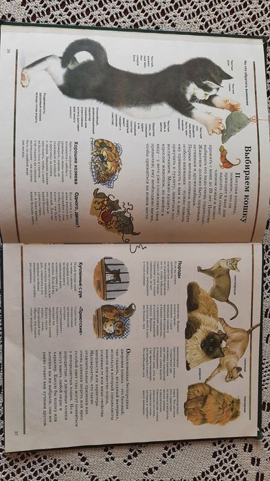 Интнреснейшая книга о кошках.