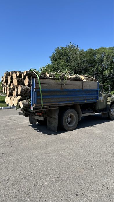 Продаю дрова таердих порід