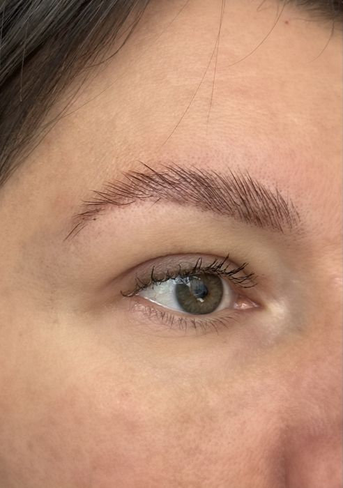 Оформлення брів, ламінування, фарбування, корекція Чернігів