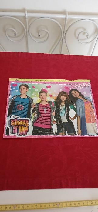 Poster Shake it Up
