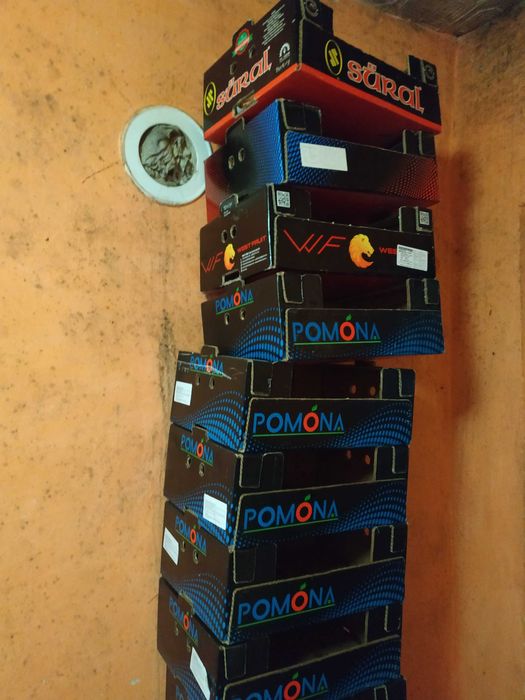 Продам ящики пластмасові і картонні