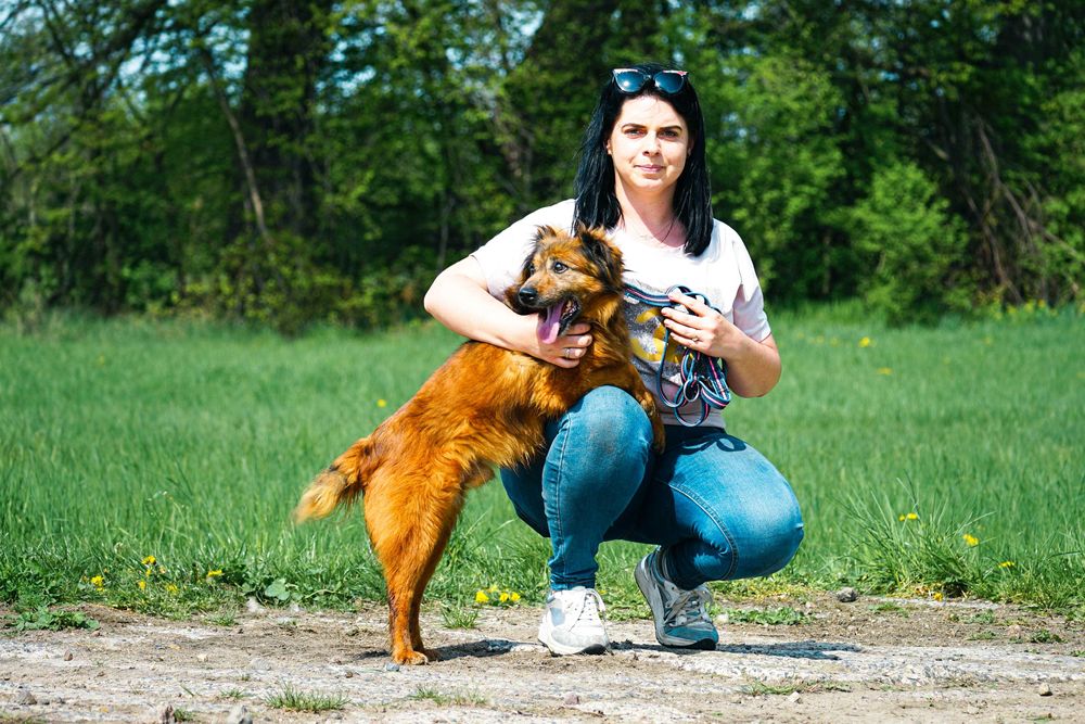 GUCIO - śliczny, łagodny psi senior