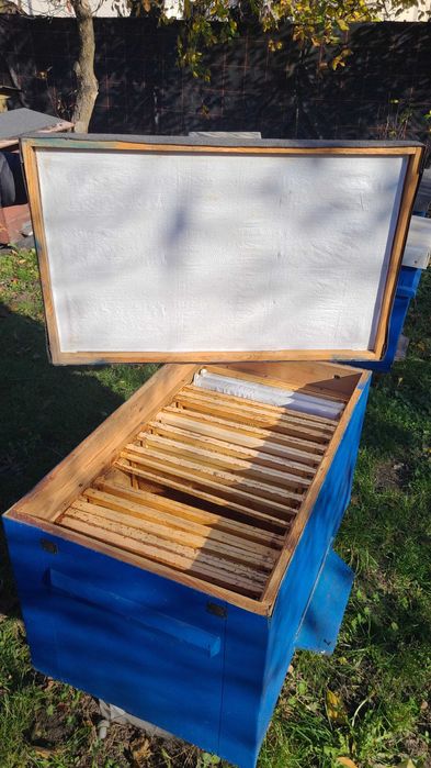 Ule 20 ramkowe Dadant