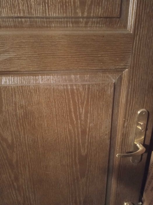 Drzwi zewnętrzne brązowe