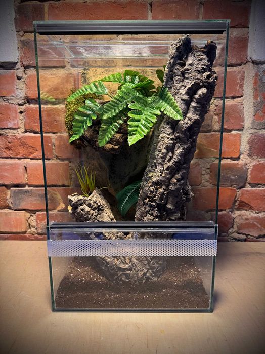 Terrarium szklane z leśnym wystrojem 30x30x50 cm. AlleTerra