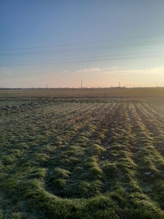 Продам земельный пай в Овидиополе  за 9000 долл США.