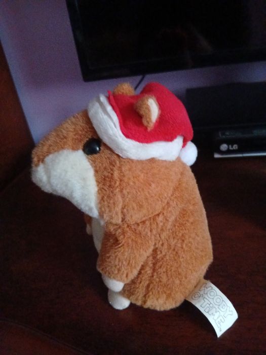 Продам хом'ячка.