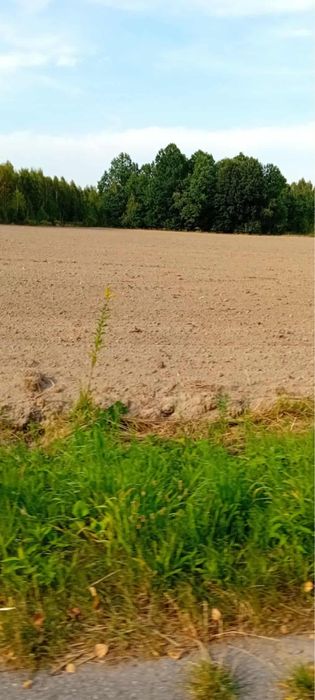 Sprzedam ziemie 9200m2