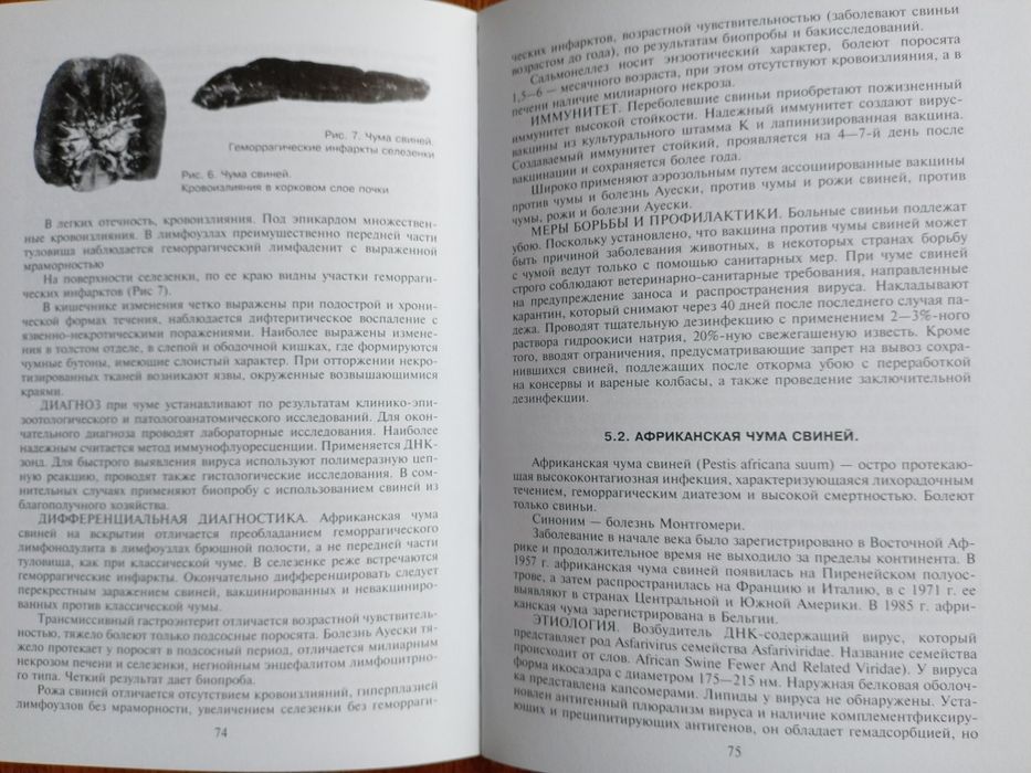 Книга Вирусные инфекции сельхоз. животных