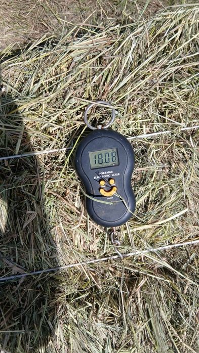 Продам  сіно в тюках