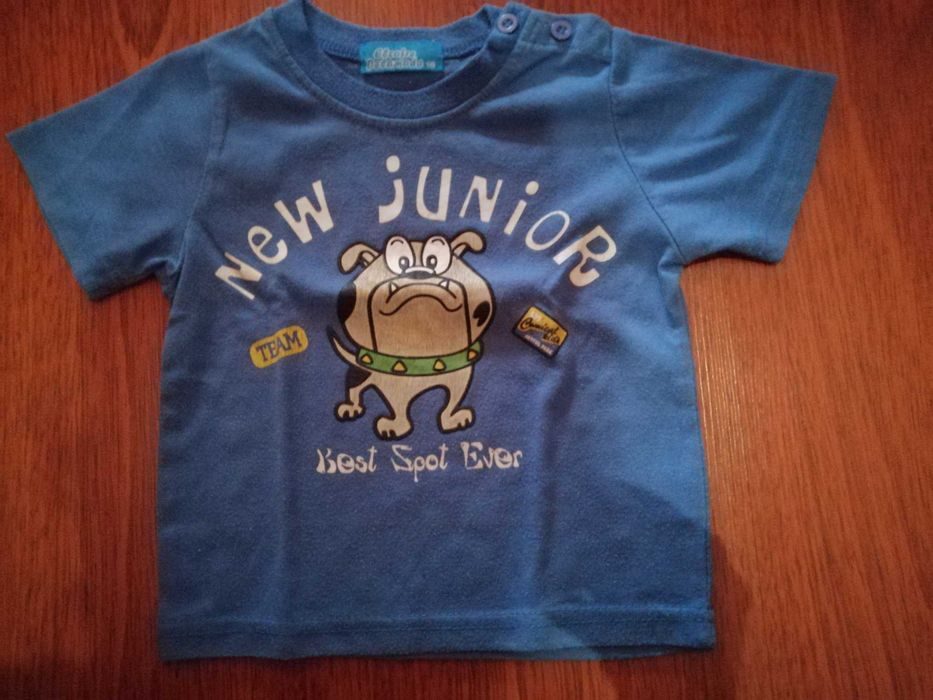 6 t-shirts manga curta, tuc tuc, 18-24 meses