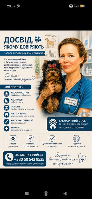помощь ветеринара