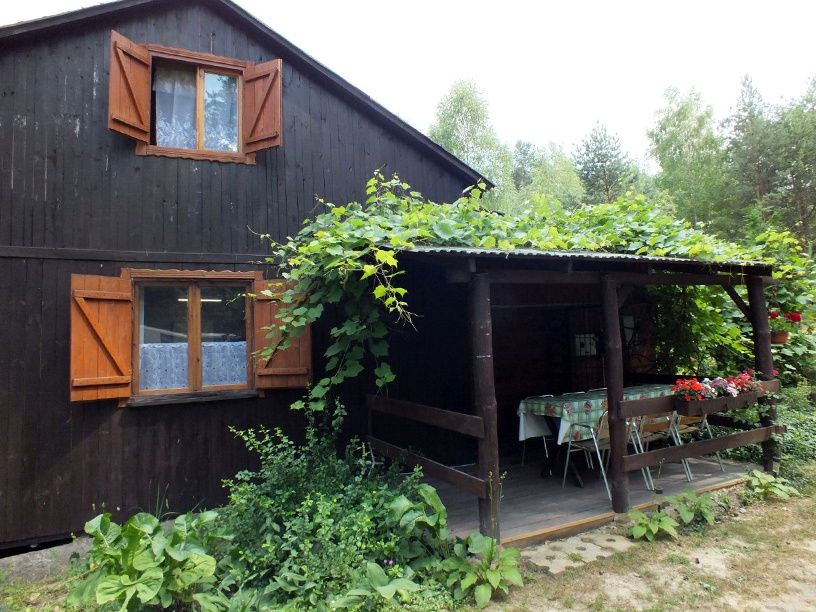 Domki nad jeziorem Chańcza Życiny