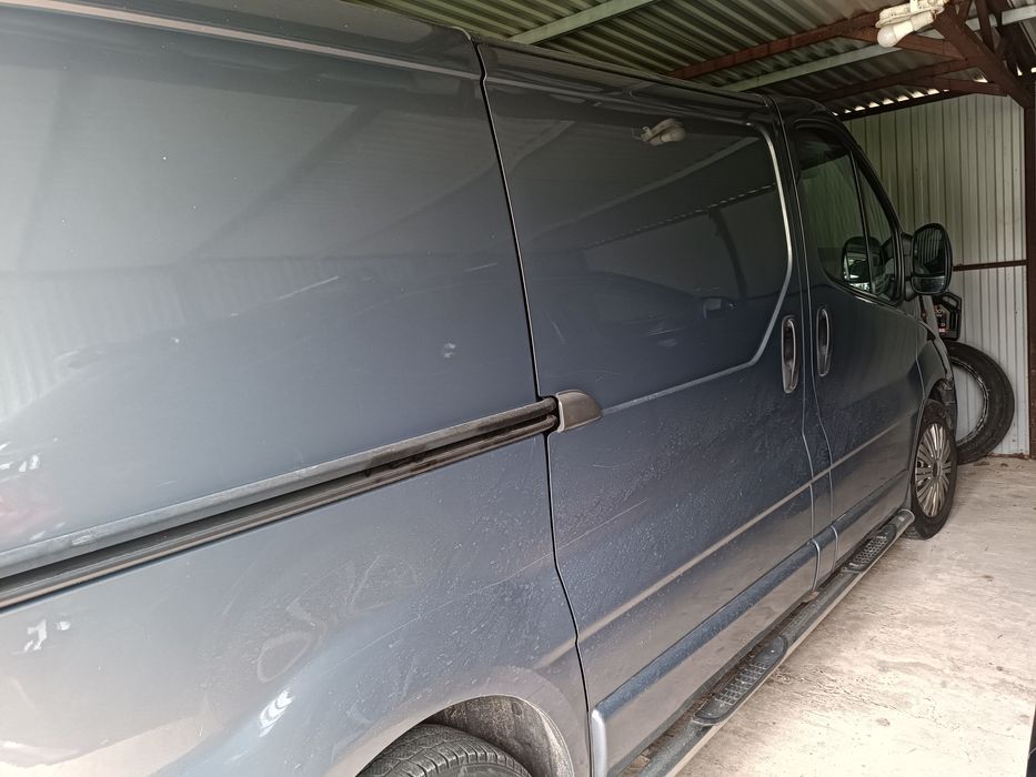 Transport przeprowadzki transport zwierząt