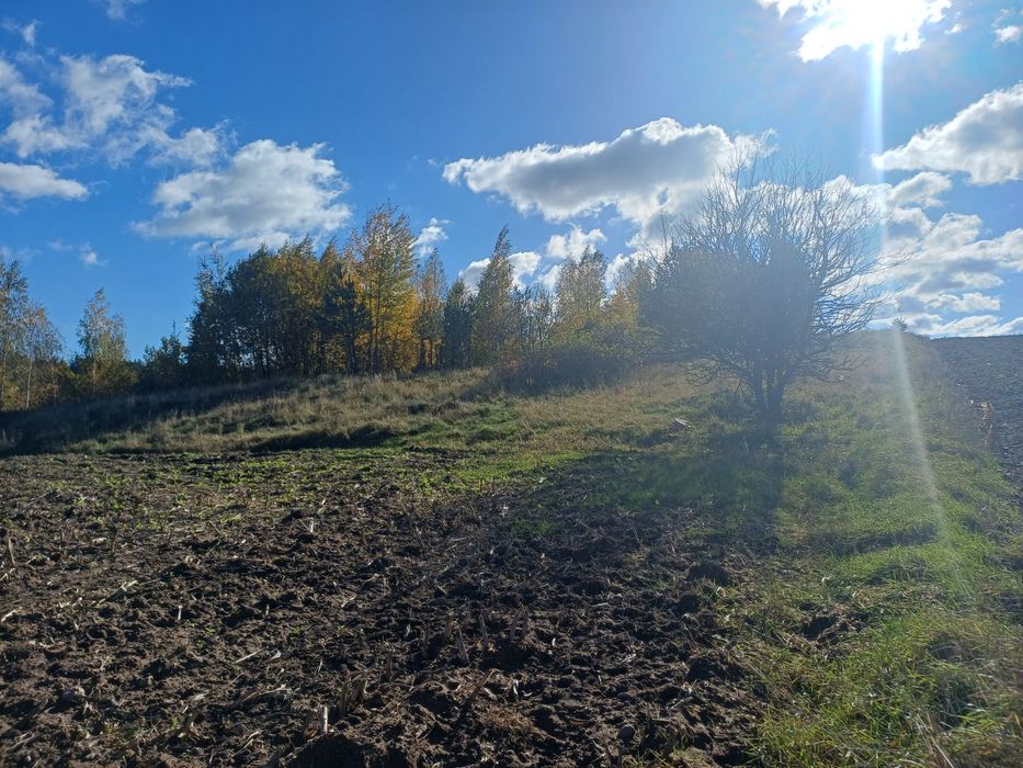 działka nieużytek 5000m2