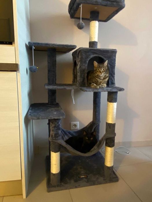 Drapak dla kota duży wysoki drapak NOWY dla kota domek legowisko NOWY