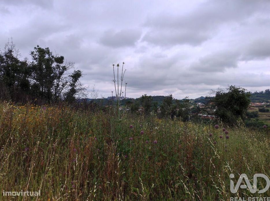 Terreno para construção em Colmeias e Memória de 116,00 m2