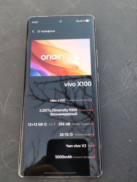 vivo X100 • 12/256 ГБ • Отличное состояние