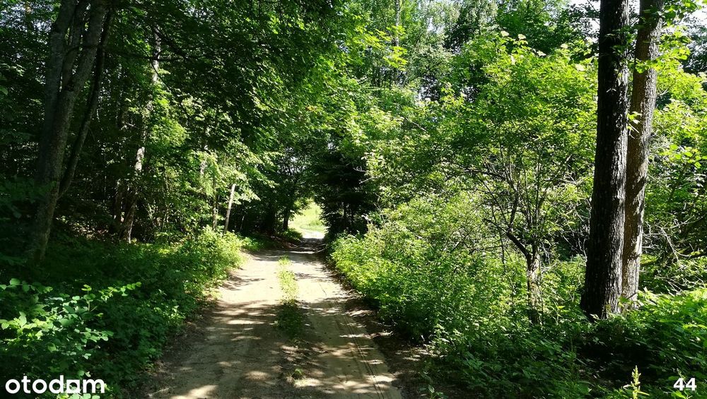 Kaborno budowlane Olsztyn 10km - Widok 5